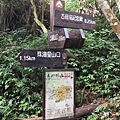 馬那邦山步道28.JPG