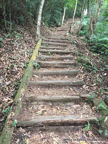 馬那邦山步道32.JPG