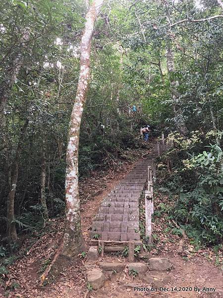 馬那邦山步道39.JPG