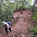 馬那邦山步道57.JPG