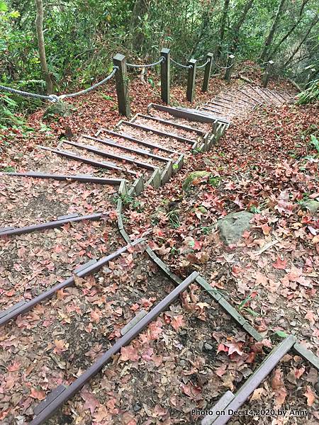 馬那邦山步道58.JPG