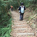 馬那邦山步道60.JPG