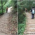 馬那邦山步道7.jpg