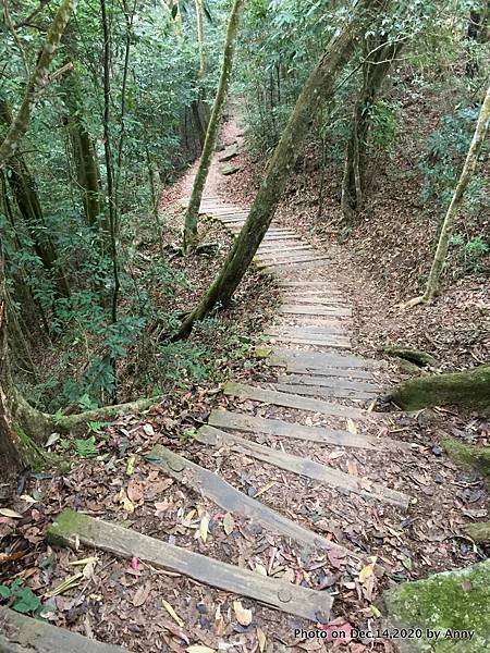 馬那邦山步道64.JPG