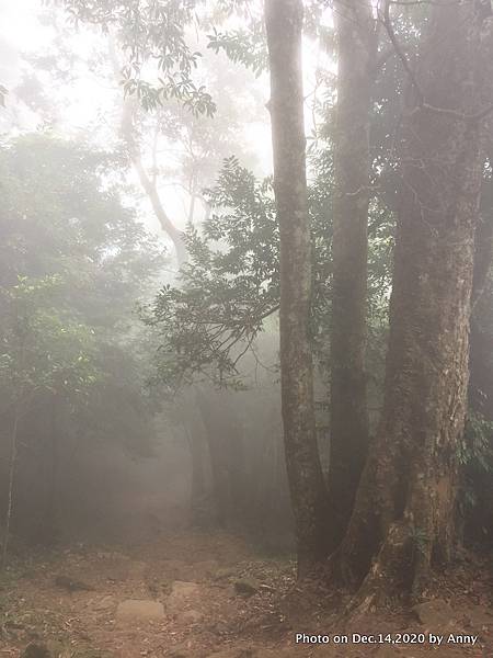 馬那邦山步道67.JPG