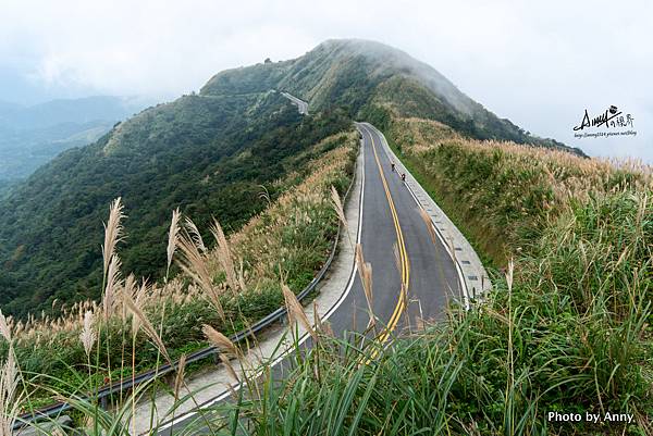 不厭亭寂寞公路