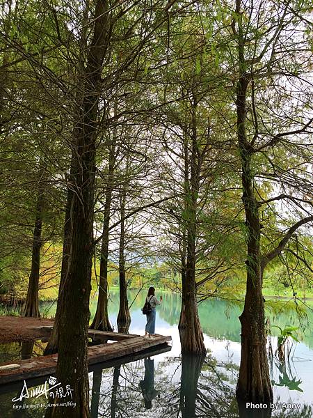 花蓮雲山水.jpg