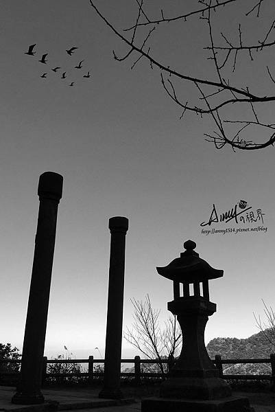 宇宙萬物.jpg 宇宙萬物.jpg