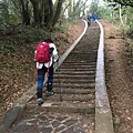 飛鳳山步道22