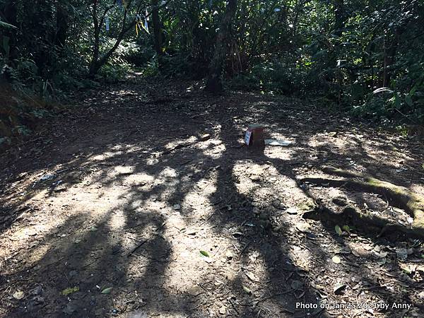 姜子寮古道 旗尾崙 姜子山20