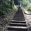 姜子寮古道 姜子寮登山步道28