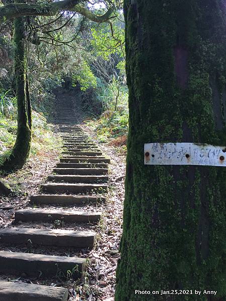 姜子寮古道 姜子寮登山步道29