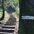 姜子寮古道 姜子寮登山步道29