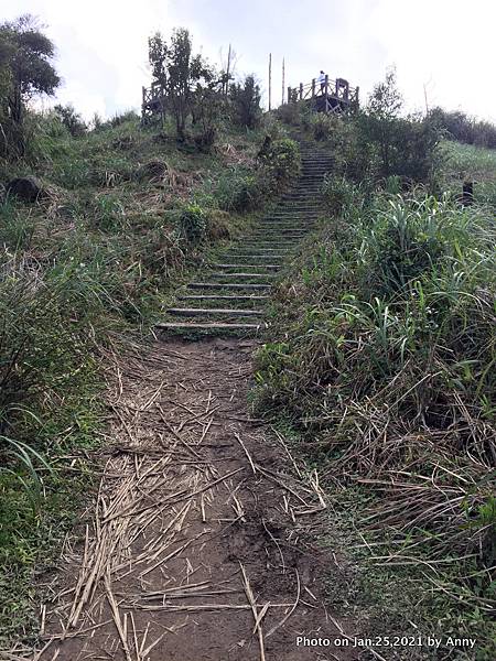 姜子寮古道 姜子寮登山步道31