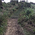 姜子寮古道 姜子寮登山步道31