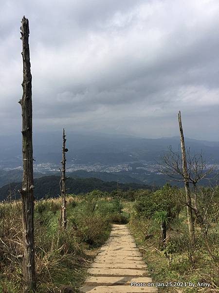 姜子寮登山步道39