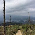 姜子寮登山步道39