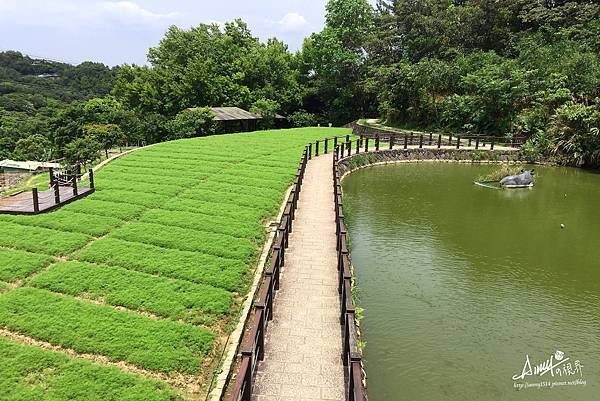 貓空樟樹步道.jpg