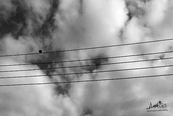 單音符.jpg 單音符.jpg