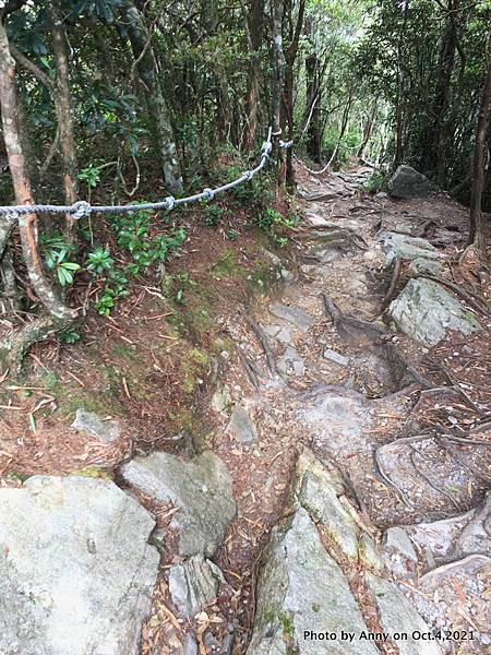 鳶嘴稍來山步道37.jpg