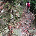 鳶嘴稍來山步道47.jpg