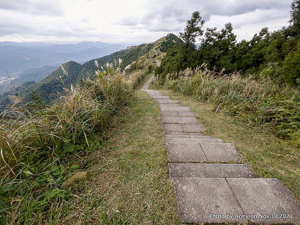 五分山步道24.JPG