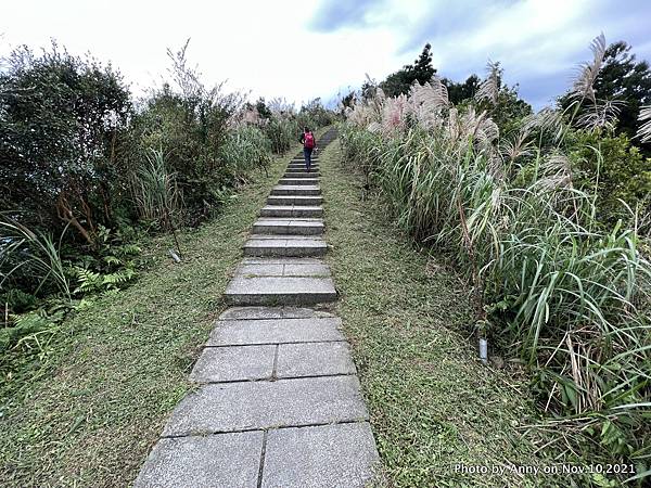 五分山步道29.JPG