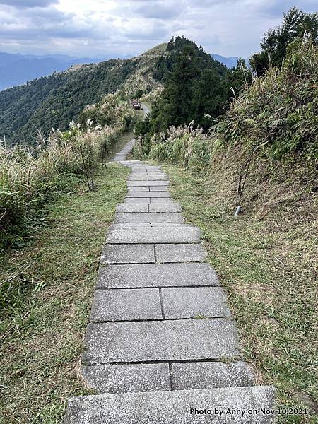 五分山步道32.JPG