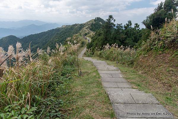 五分山步道1.jpg
