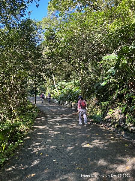 聖母登山步道 三角崙登山步道 抹茶山步道8.JPG