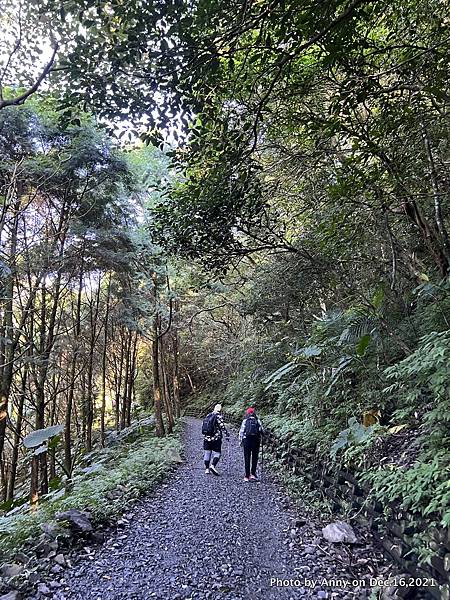 聖母登山步道 三角崙登山步道 抹茶山步道13.JPG