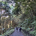 聖母登山步道 三角崙登山步道 抹茶山步道13.JPG