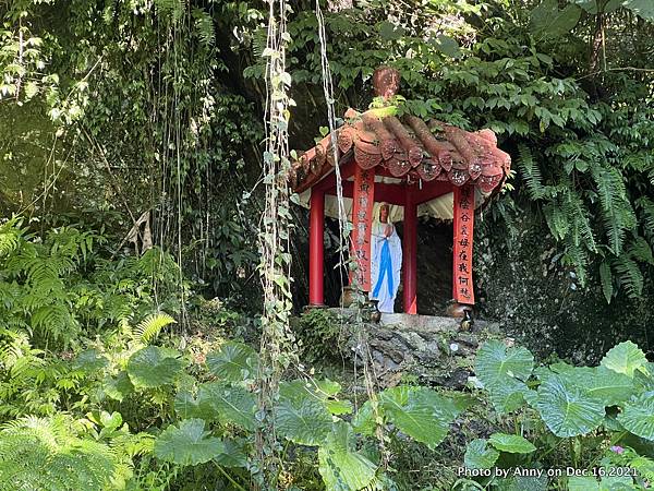 聖母登山步道 三角崙登山步道 抹茶山步道15.JPG