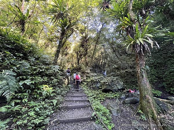 聖母登山步道 三角崙登山步道 抹茶山步道17.JPG