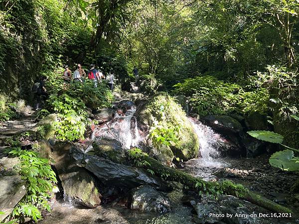 聖母登山步道 三角崙登山步道 抹茶山步道18.JPG