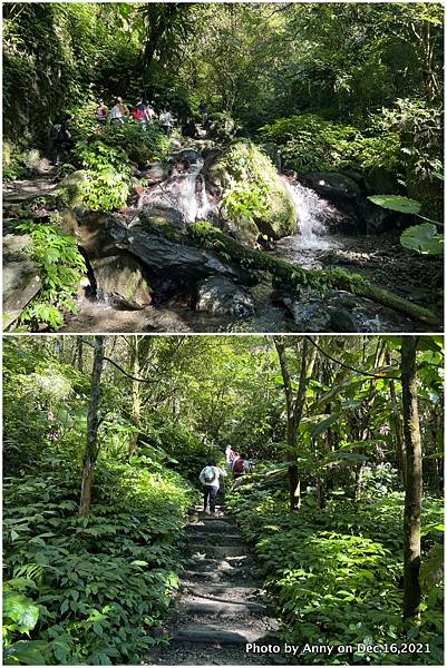 聖母登山步道 三角崙登山步道 抹茶山步道4.JPG