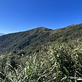 聖母登山步道 三角崙登山步道 抹茶山步道23.JPG