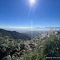 聖母登山步道 三角崙登山步道 抹茶山步道24.JPG