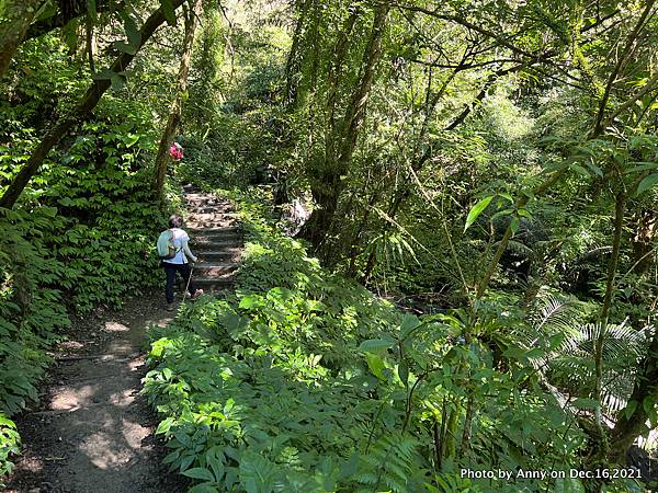 聖母登山步道 三角崙登山步道 抹茶山步道20.JPG