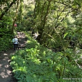 聖母登山步道 三角崙登山步道 抹茶山步道20.JPG