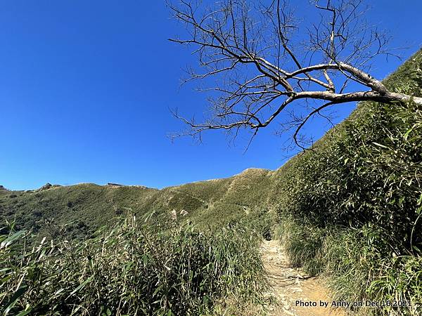 聖母登山步道 三角崙登山步道 抹茶山步道25.JPG