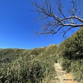 聖母登山步道 三角崙登山步道 抹茶山步道25.JPG