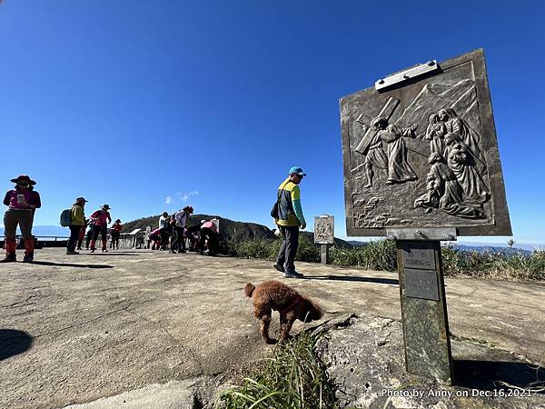 聖母登山步道 三角崙登山步道 抹茶山步道34.JPG