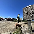 聖母登山步道 三角崙登山步道 抹茶山步道34.JPG