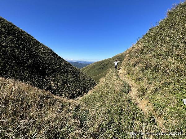 聖母登山步道 三角崙登山步道 抹茶山步道46.JPG