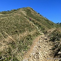 聖母登山步道 三角崙登山步道 抹茶山步道49.JPG