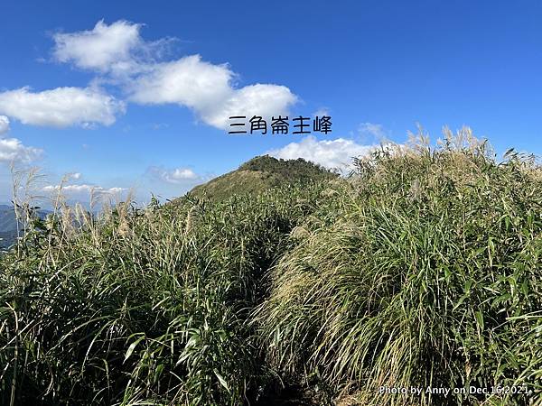 聖母登山步道 三角崙登山步道 抹茶山步道52.JPG