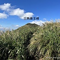 聖母登山步道 三角崙登山步道 抹茶山步道52.JPG