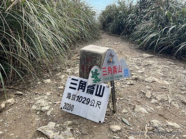 三角崙山三角點 三角崙登山步道