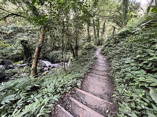 聖母登山步道 三角崙登山步道 抹茶山步道58.JPG